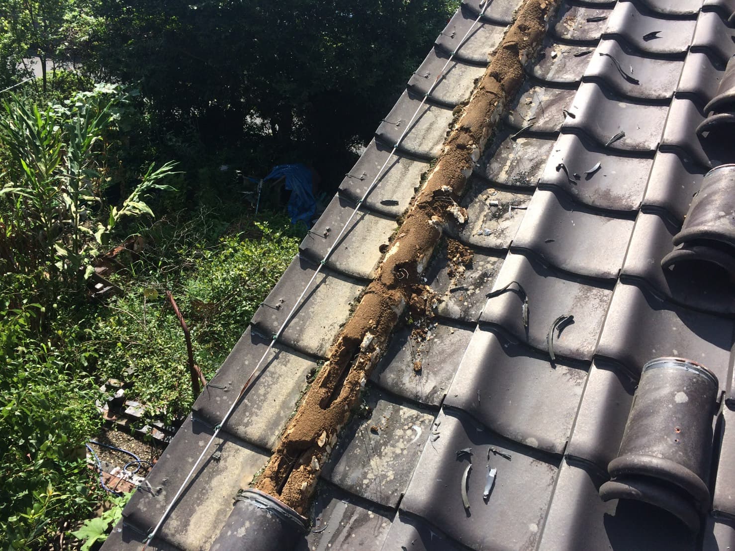 多治見市の外壁塗装、屋根塗装株式会社エスエスの漆喰の劣化