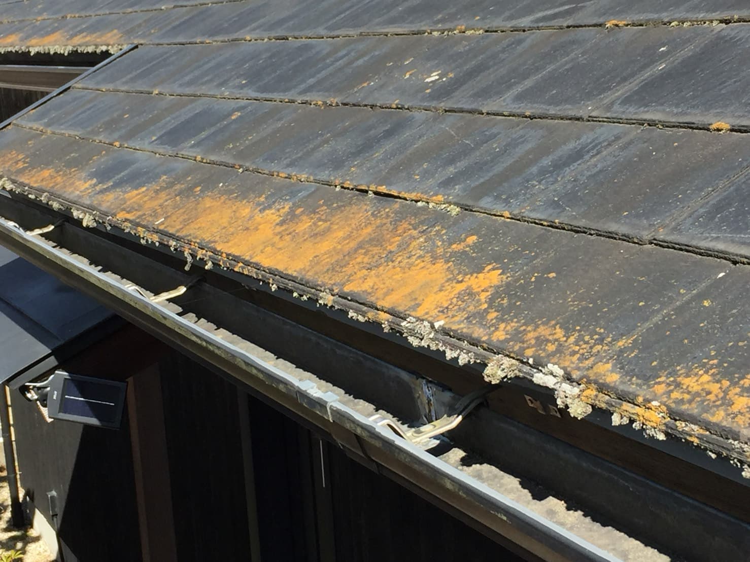 屋根の汚れや苔